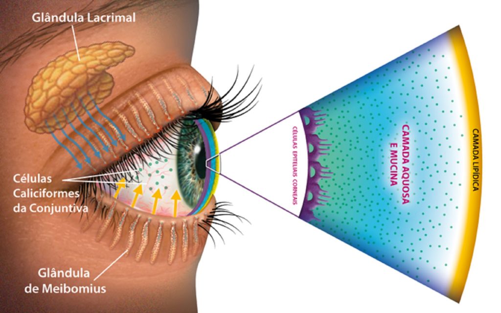 CIRURGIA DE CALÁZIO – Hospital de Olhos e Visão do Pará (HOVP)