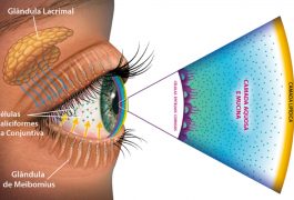 Camadas do Filme Lacrimal